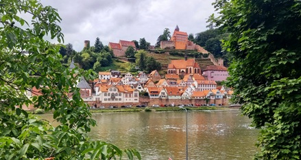 Hirschhorn