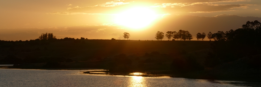 laguna