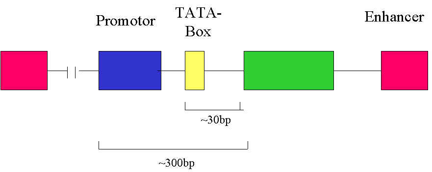 wpe3.jpg (18708 Byte)