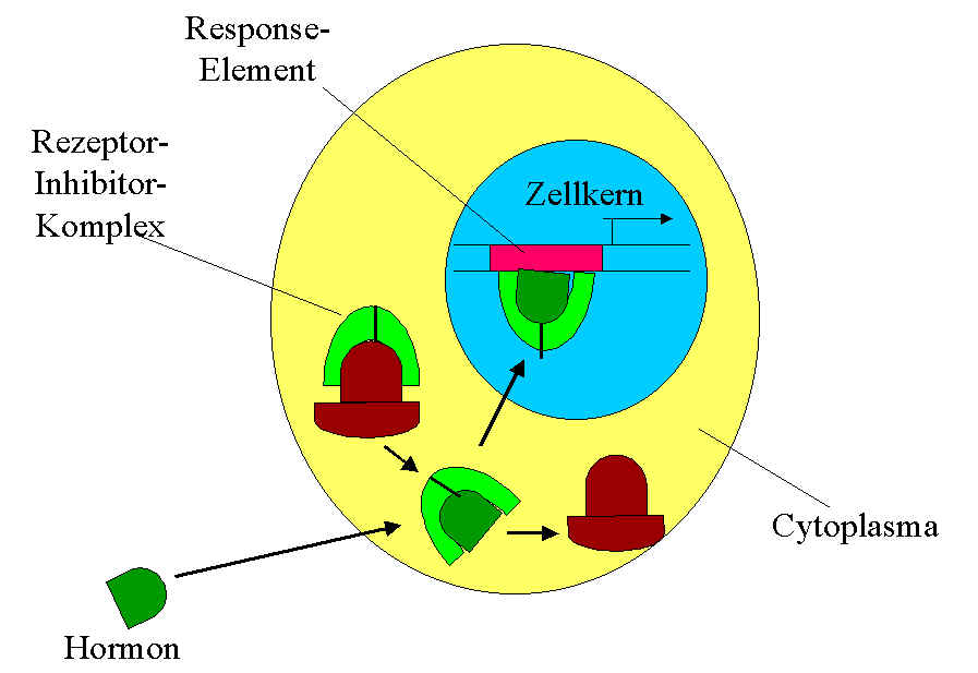 wpe4.jpg (46424 Byte)